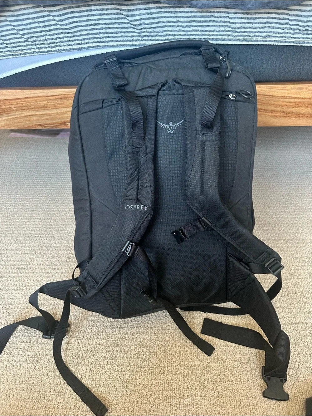 OSPREY Porter 46 Travel Backpack - Black